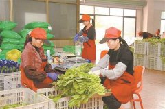 <b>实现全市食物和食用农产物“一张网”全覆</b>