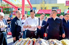 粮食收储根本设备设善