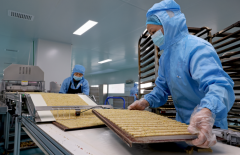 <b>动就业1000余人</b>